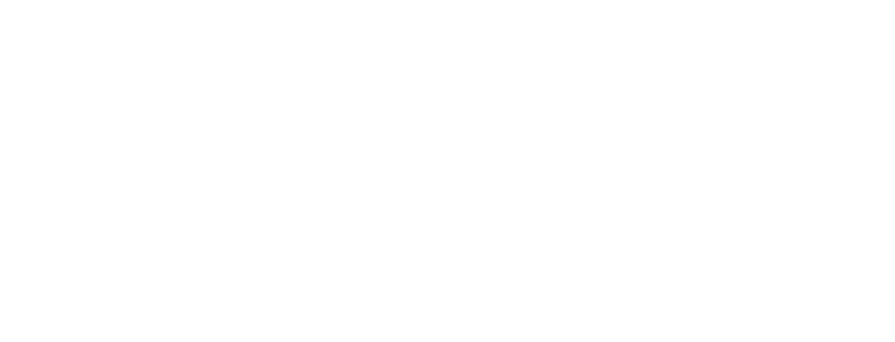 vitalium Logo