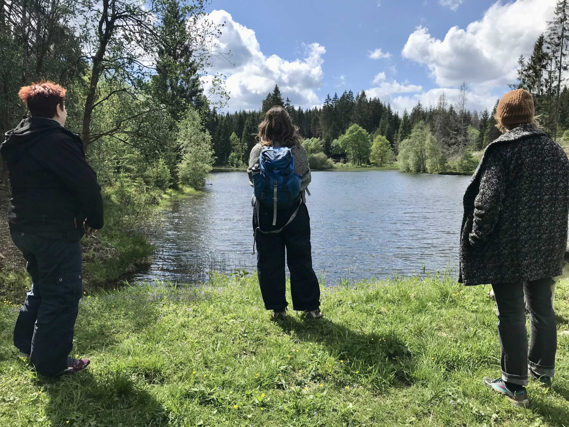 Geführte Wanderung in der Harzer Natur