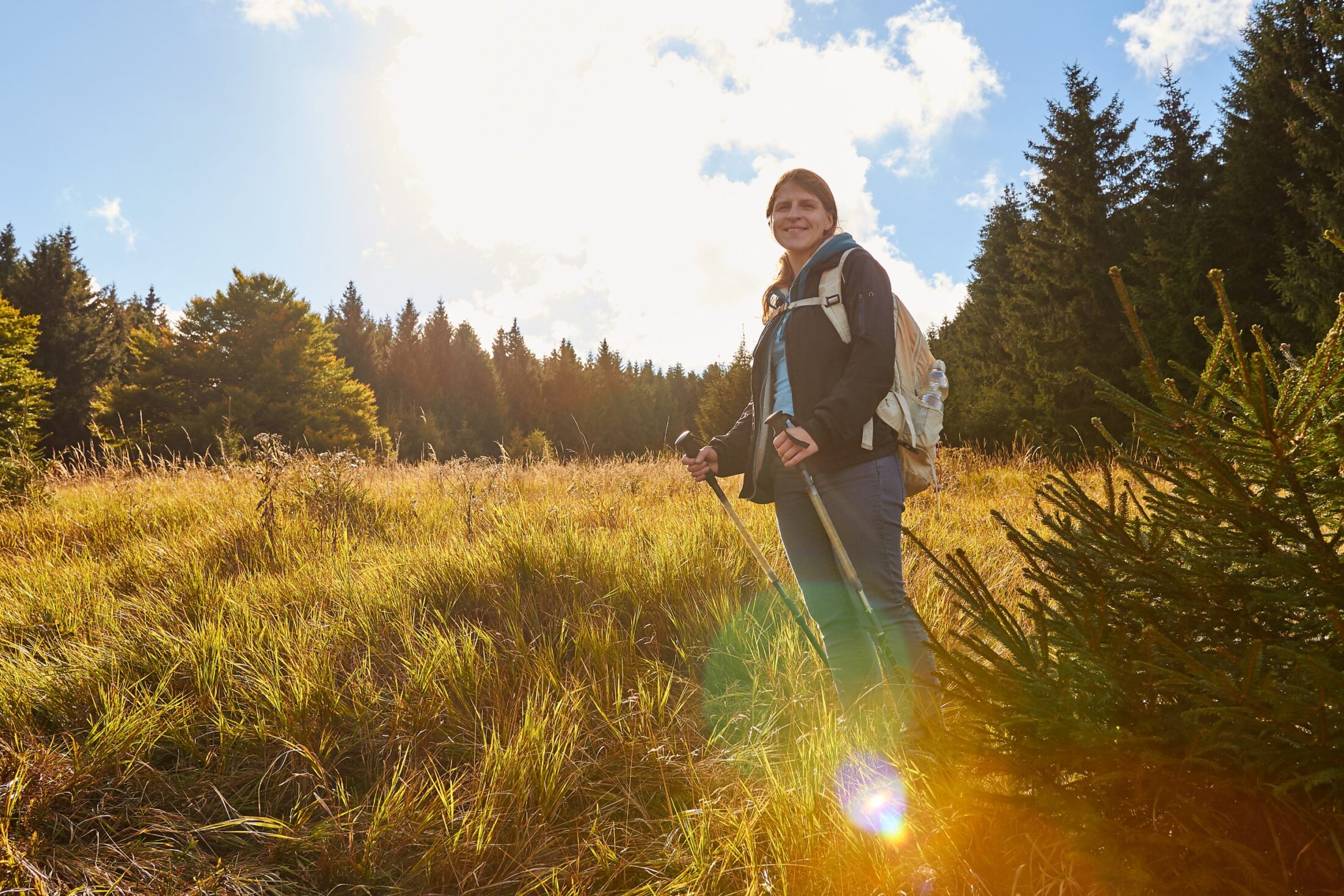 Wandern im Harz bei Bad Lauterberg