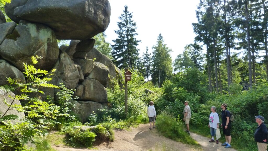 Wandergruppe an einer Felsformation im Harz