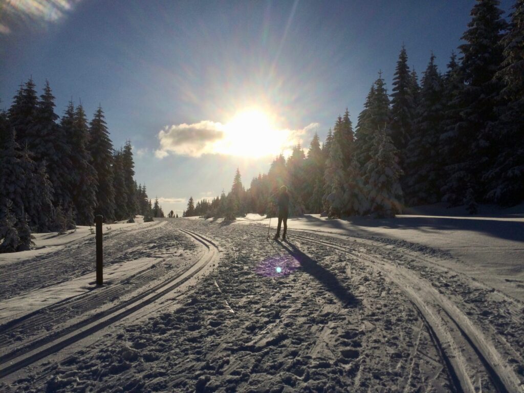 Verschneiter Wanderweg im Harz bei tief stehender Sonne