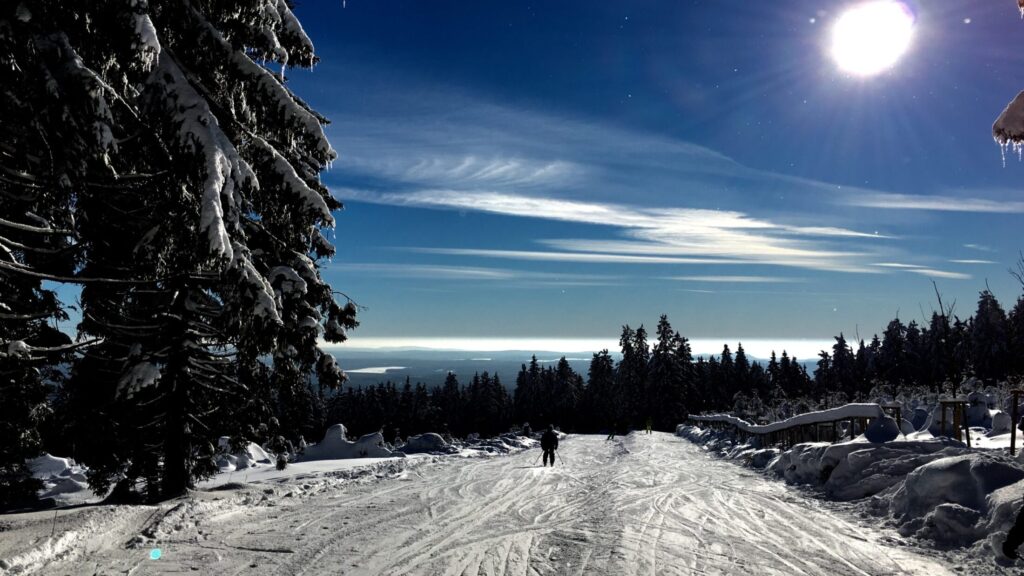 Winterlandschaft mit verschneitem Weg im Harz