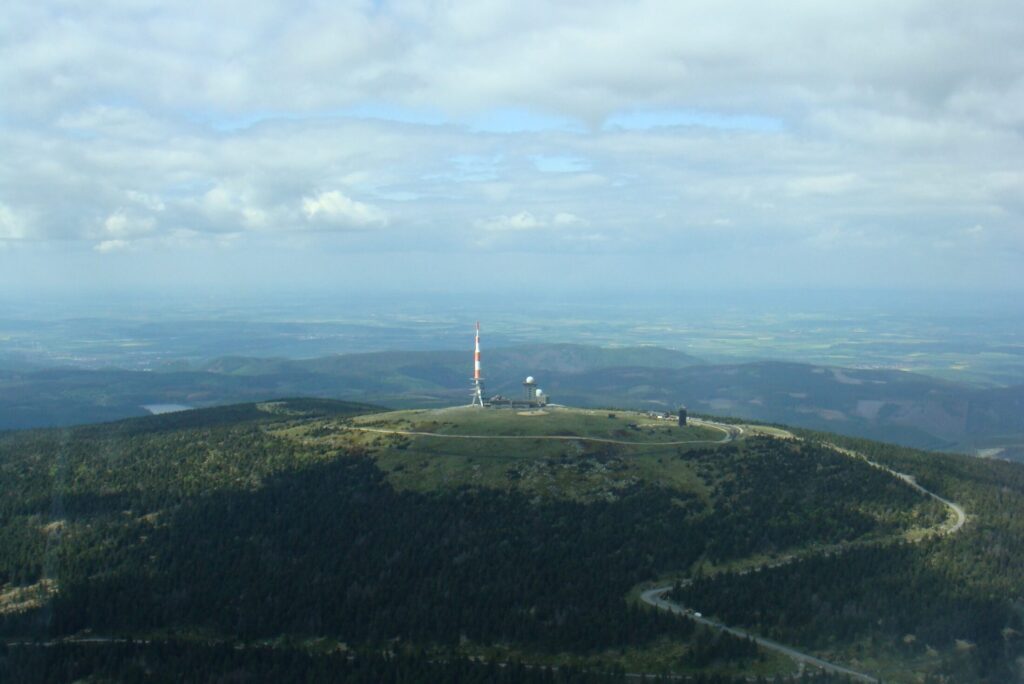 Pilze auf dem Waldboden im Harz