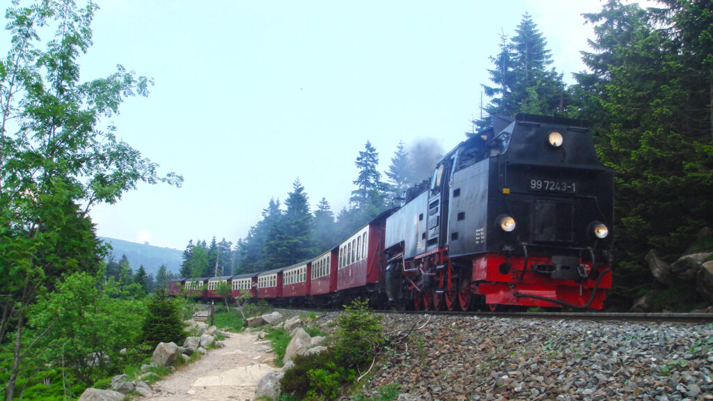Wald und Felsen entlang eines Harzer Wanderwegs