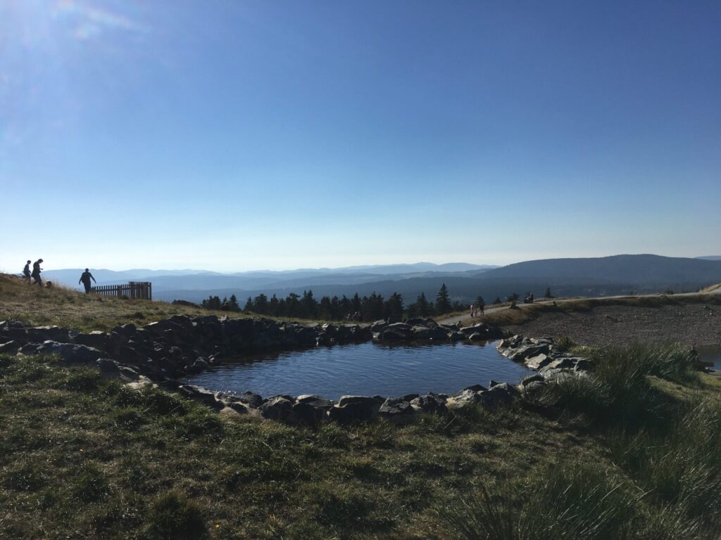 Aussicht über die bewaldete Harzlandschaft