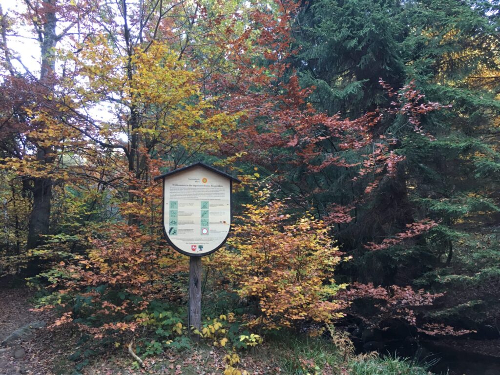 Harzer Schmalspurbahn auf ihrer Fahrt durch den Wald