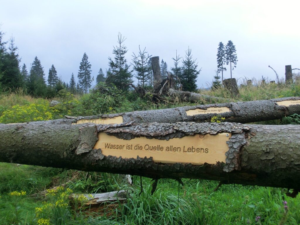 Station am Naturmythenpfad bei Braunlage