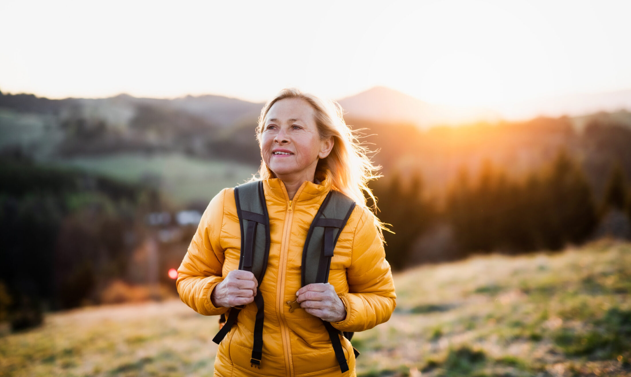Harzer Natur im Wandel der Jahreszeiten Harzer Natur im Wandel der Jahreszeiten