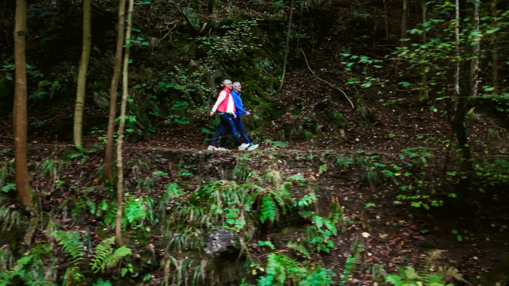 Zwei Personen spazieren auf einem schmalen Waldweg oberhalb eines von dichtem Grün umgebenen Flussufers.